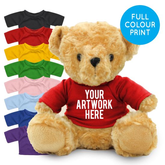 Printed 19cm Victoria bear with Coloured t-shirt