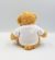 A blank soft toy teddy bear suitable for Dye-Sub and transfer printing  facing away from the camera.  The back of the t-shirt can be branded too.