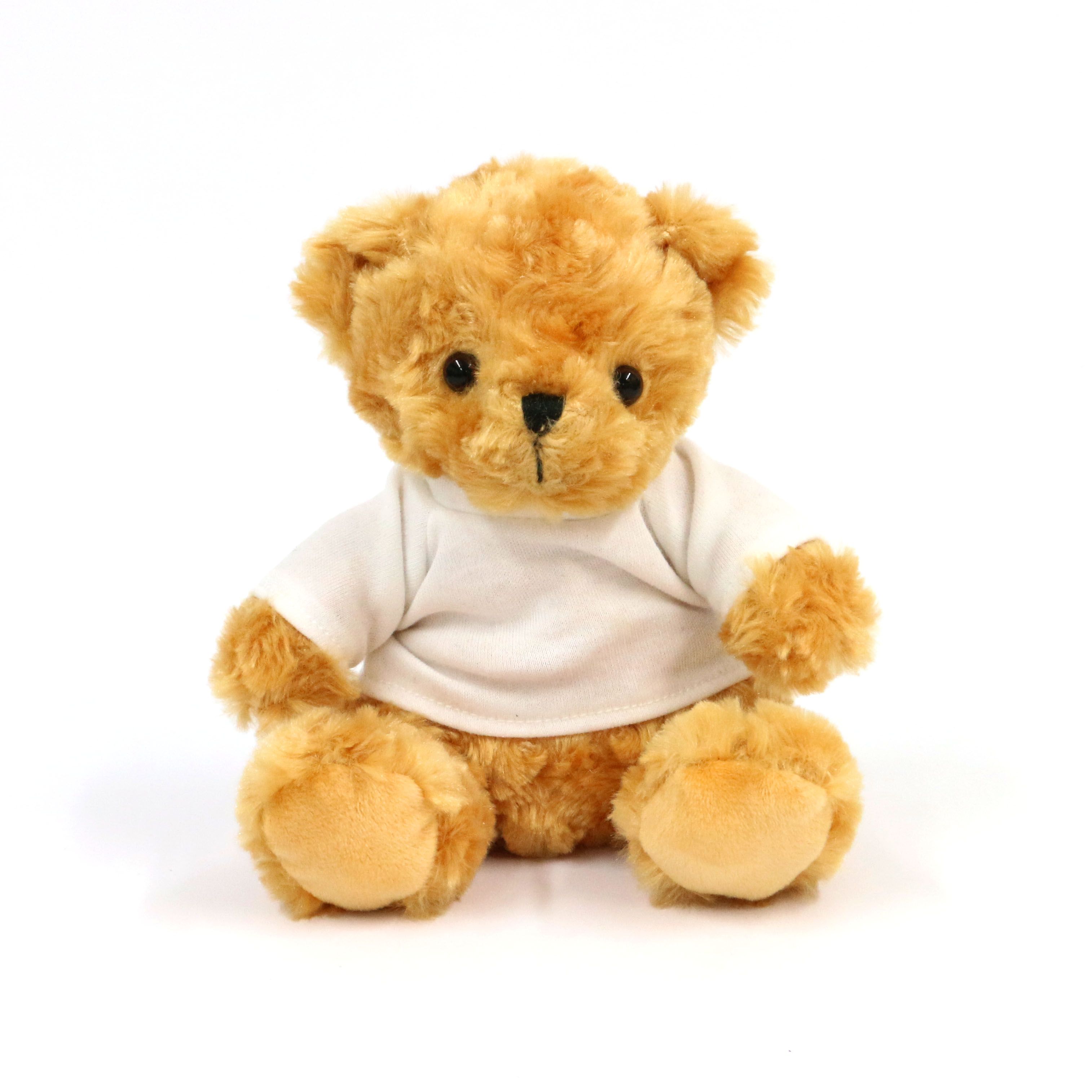 16+ Teddy Bear White Color