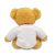 A blank soft toy teddy bear with Red Ribbon, suitable for Dye-Sub and transfer printing facing away from the camera.  The back of the t-shirt can be branded too.